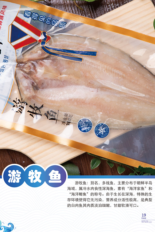 游牧鱼1.jpg